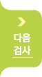 다음검사