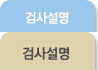 검사설명