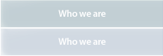 Our Understanding