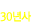 30년사