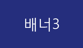 배너상관 텍스트